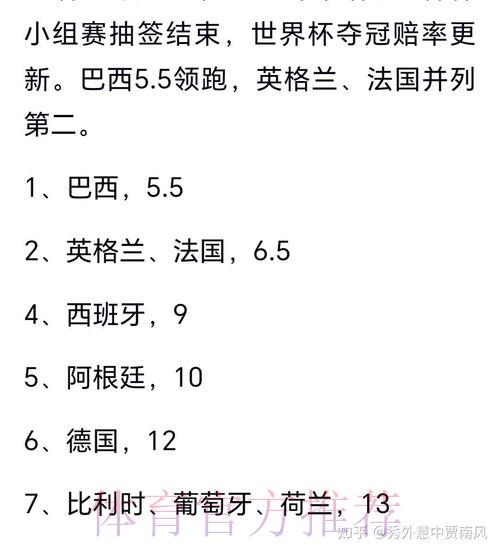 世界杯夺冠热门解析与赛果预测